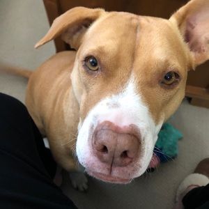 Meet your Posher, Charlene